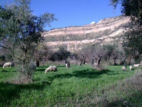 Η θέα απο την Αρδενίτσα. 