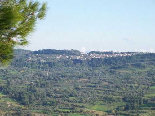 Το χελιδόνι απο την περιοχή τουρκόσκαλα.