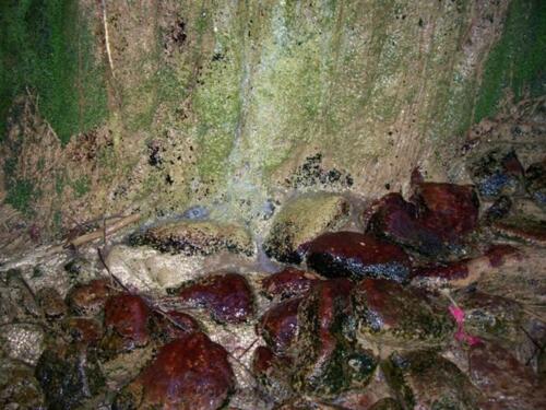 Ο μικρός καταράκτης μετά το καλντερίμι