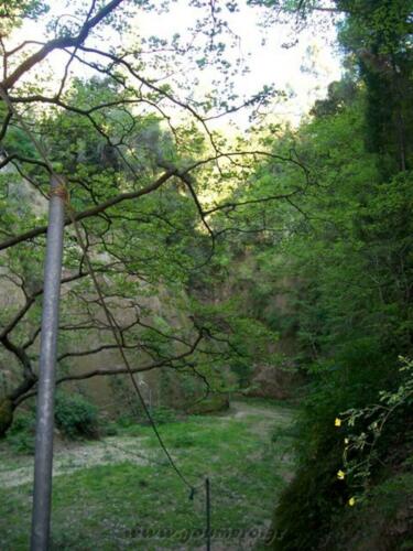 Το καλντερίμι προς το φαράγγι