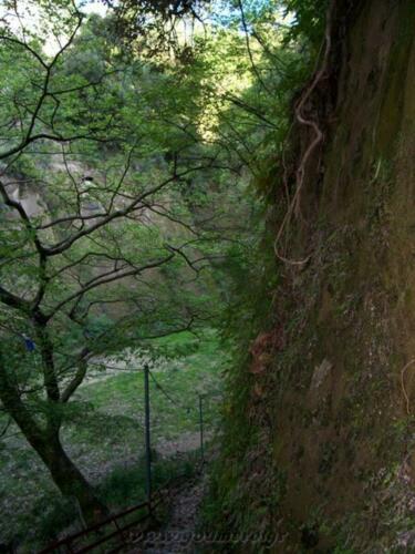 Το καλντερίμι προς το φαράγγι