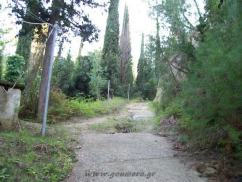 Ο δρόμος καθόδου προς την μονή ( άποψη απο κάτω)