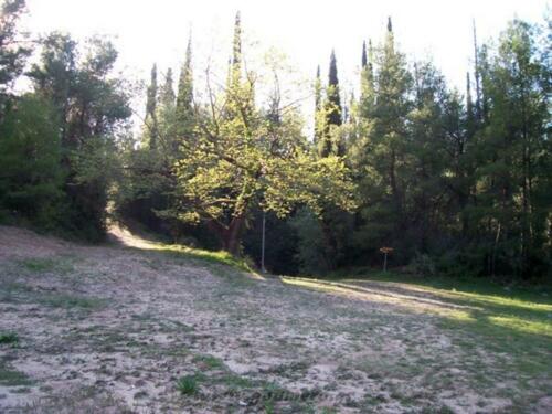 Ο επάνω χώρος της μονής