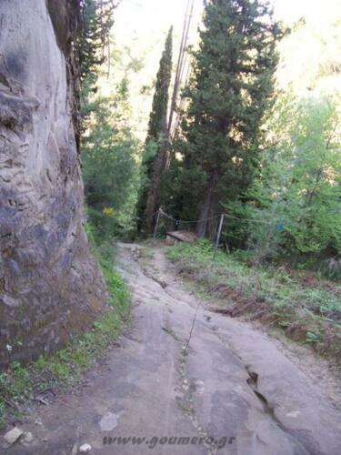 Ο δρόμος καθόδου προς την μονή ( άποψη απο επάνω)