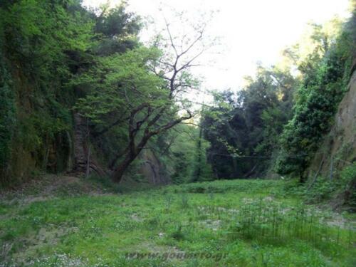 Η άποψη προς το φαράγγι