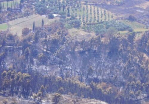 Φωτογραφίες Απο τις φωτιές του 2007