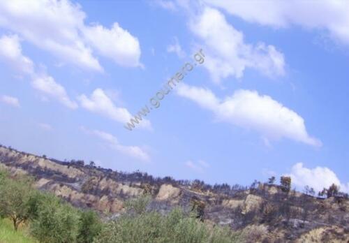 Φωτογραφίες Απο τις φωτιές του 2007