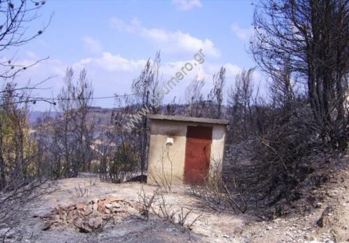 Φωτογραφίες Απο τις φωτιές του 2007