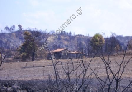 Φωτογραφίες Απο τις φωτιές του 2007