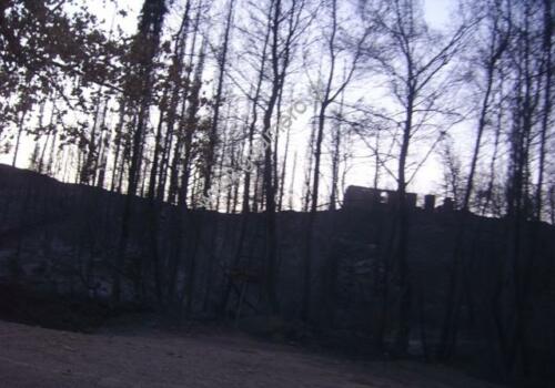 Φωτογραφίες Απο τις φωτιές του 2007