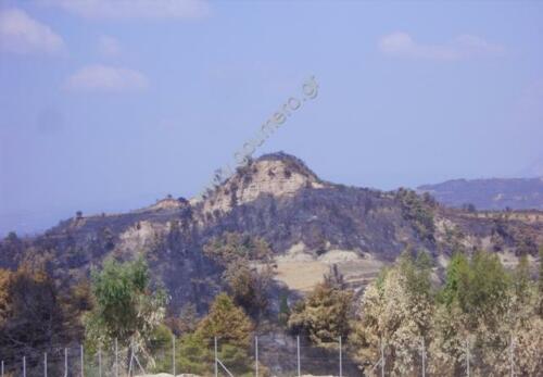 Φωτογραφίες Απο τις φωτιές του 2007