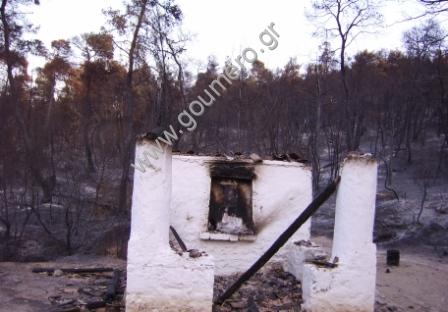 Φωτογραφίες Απο τις φωτιές του 2007