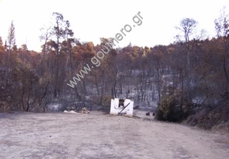 Φωτογραφίες Απο τις φωτιές του 2007