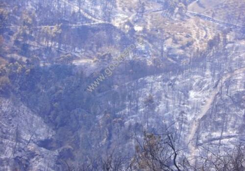 Φωτογραφίες Απο τις φωτιές του 2007