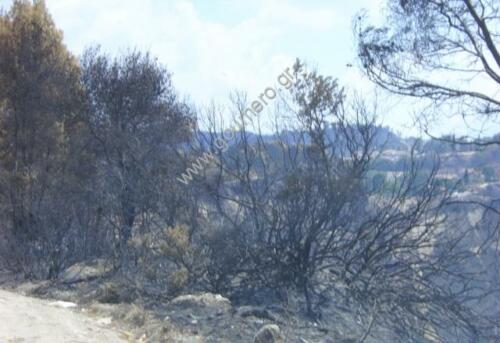 Φωτογραφίες Απο τις φωτιές του 2007