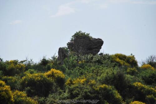 Ο Βράχος της αρκούδας
