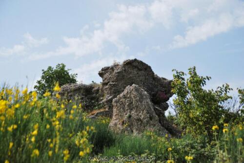 Ο Βράχος της αρκούδας