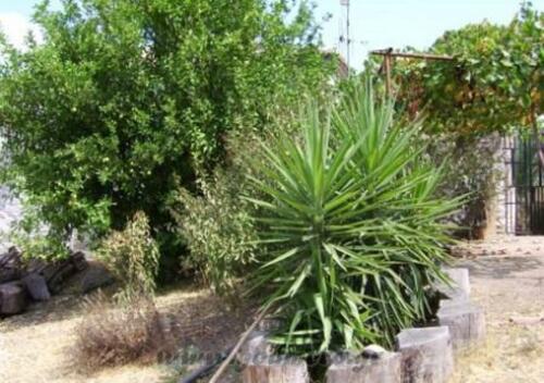 Η εξωτερική  άποψη της μονής