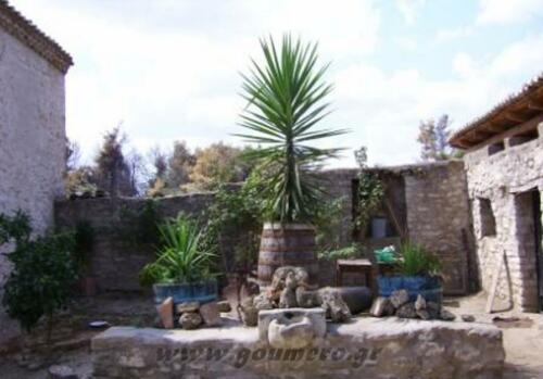 Ο χώρος μπροστά απο την μονή