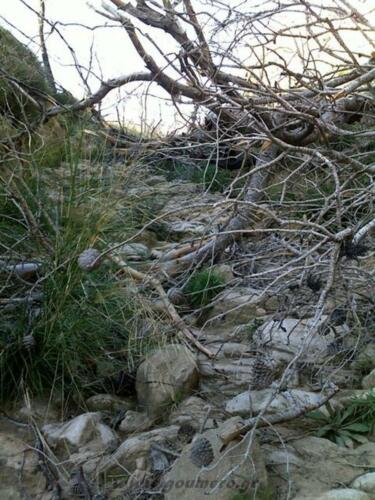 Τουρκόσκαλα